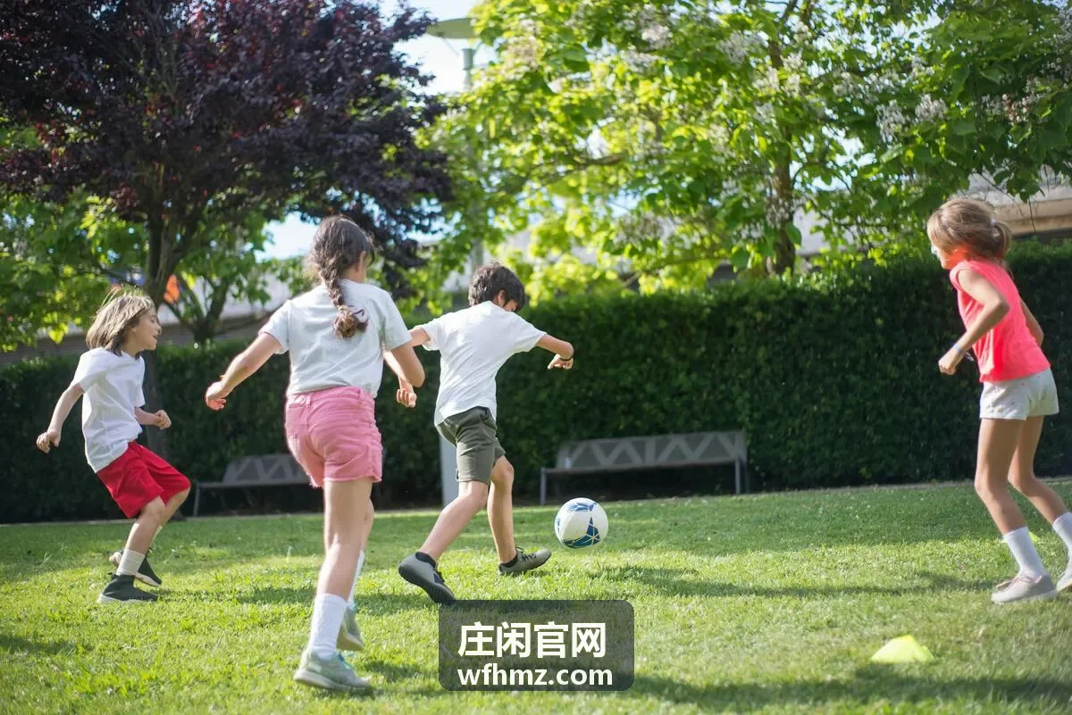 庄闲官网栏目架构示意图